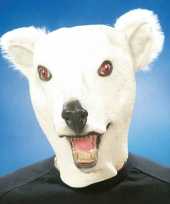 Ijsbeer maskers